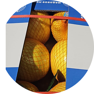 Памело Медовое