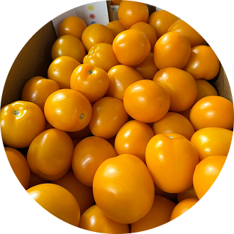 Помидоры Желтые